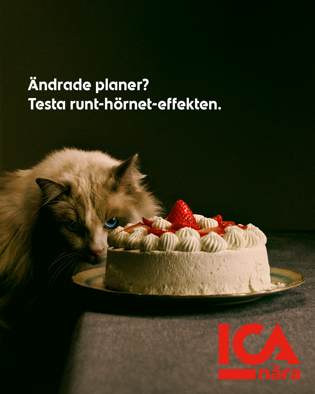 ICA-NÄRA-CAT